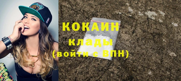 прущие грибы Щигры