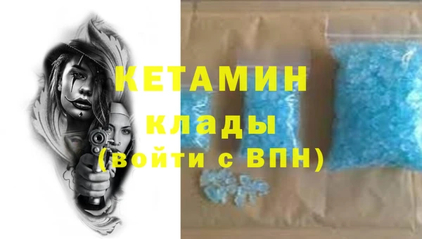 прущие грибы Щигры