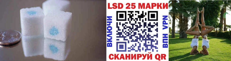 Купить закладки  Выборг  Лсд 25 экстази ecstasy 