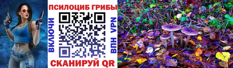Купить где  Выборг  Галлюциногенные грибы MAGIC MUSHROOMS 